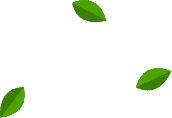 Anasayfa