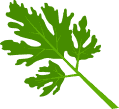 Anasayfa