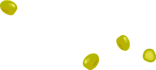 Anasayfa