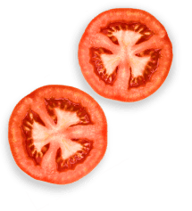 Anasayfa