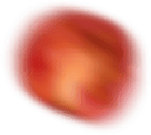 Anasayfa